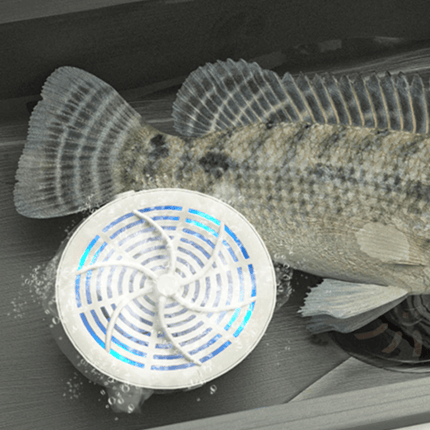 Akumulatorowy Oczyszczacz Żywności z Technologią Jonową – Skuteczne Usuwanie Zanieczyszczeń z Owoce, Warzywa, Mięsa, Biały 5