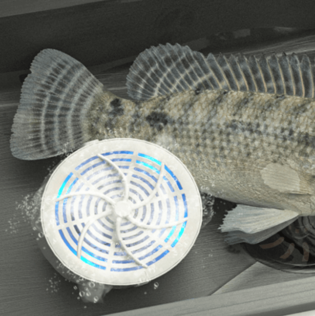 Akumulatorowy Oczyszczacz Żywności z Technologią Jonową – Skuteczne Usuwanie Zanieczyszczeń z Owoce, Warzywa, Mięsa, Biały 5