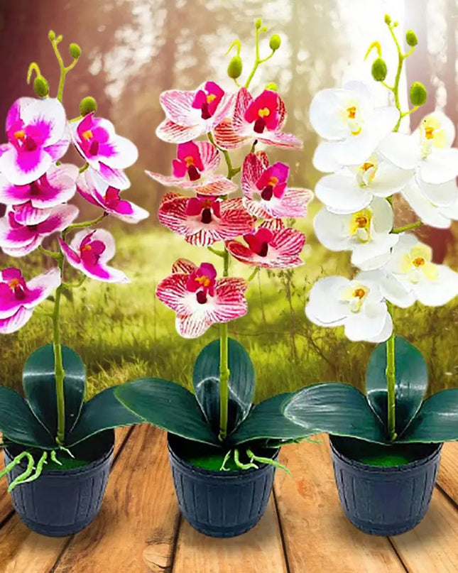 Delikatny kwiatowy urok przez cały rok 1