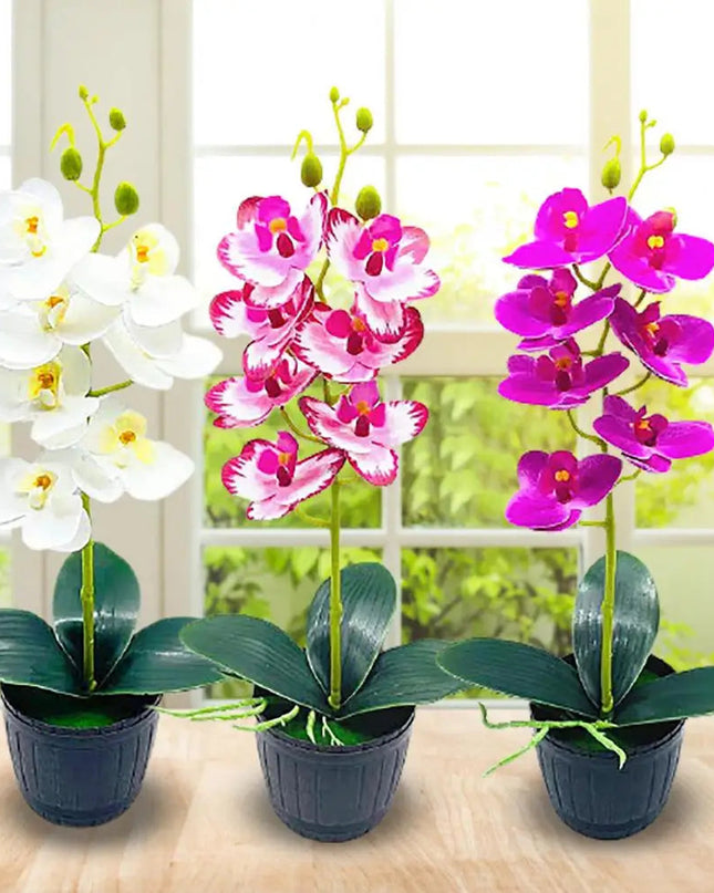 Delikatny kwiatowy urok przez cały rok 2