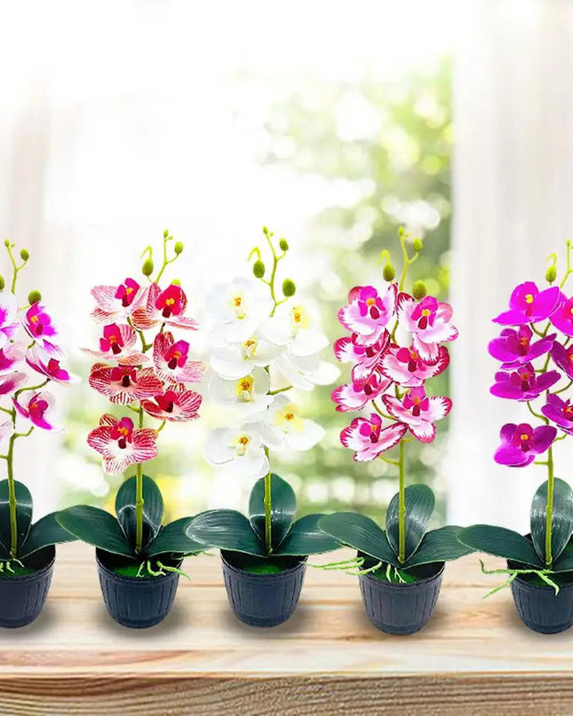 Delikatny kwiatowy urok przez cały rok 3