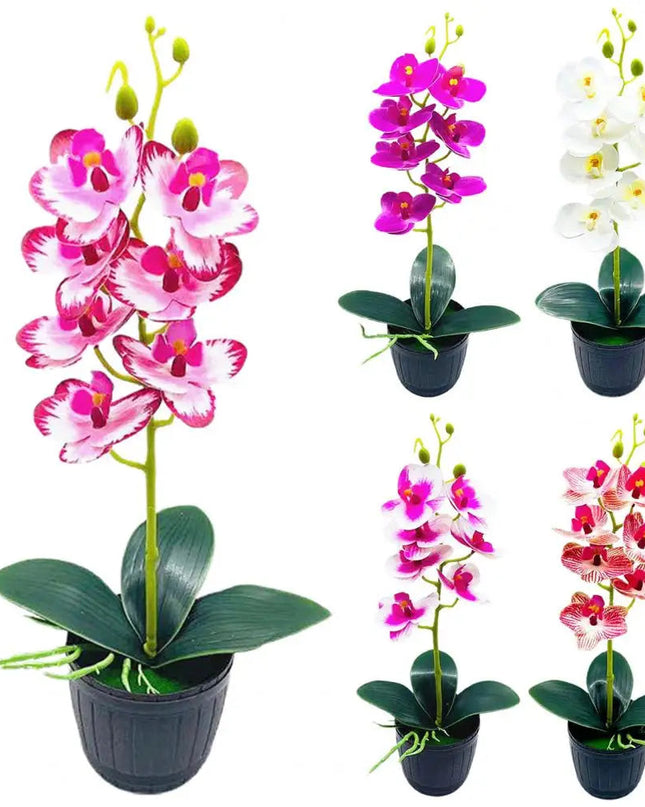 Delikatny kwiatowy urok przez cały rok 4