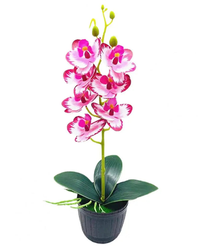 Delikatny kwiatowy urok przez cały rok 7