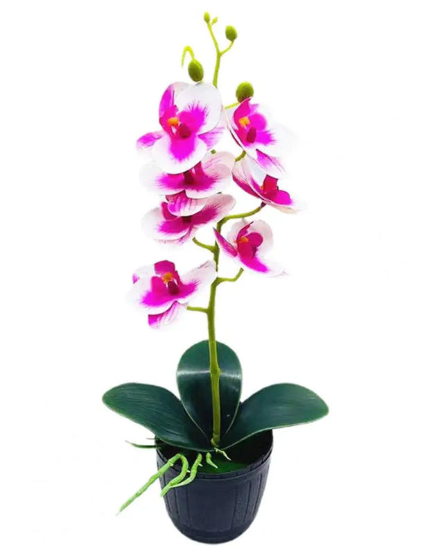 Delikatny kwiatowy urok przez cały rok 8