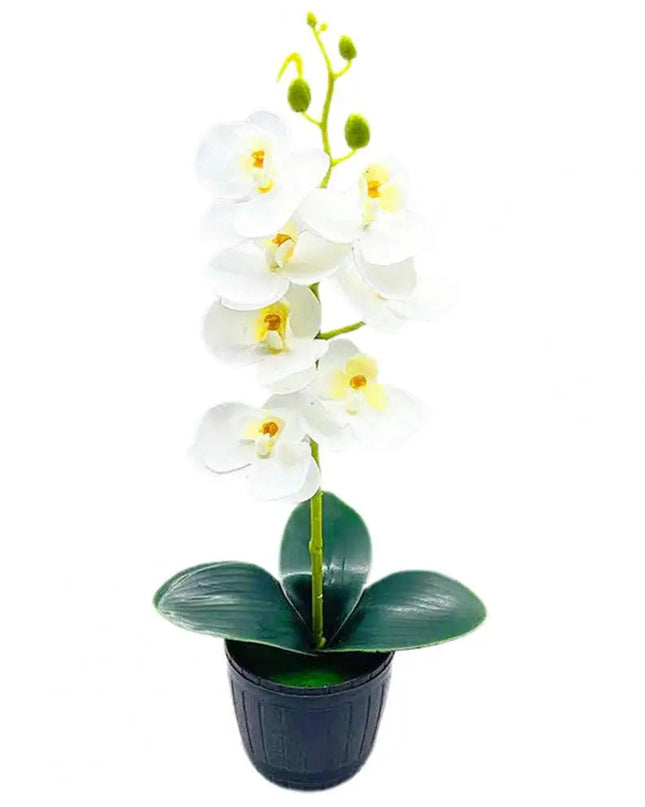 Delikatny kwiatowy urok przez cały rok 9