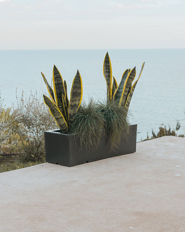 Elegancka doniczka, która ożywi przestrzeń 0