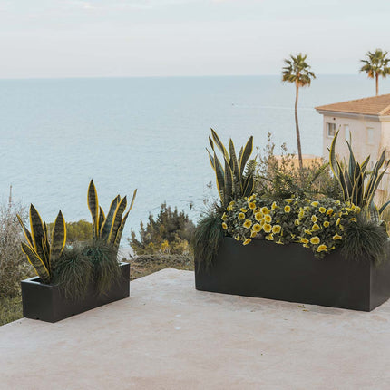 Elegancka doniczka, która ożywi przestrzeń 3