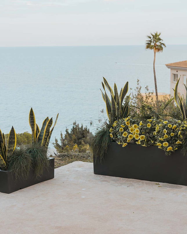 Elegancka doniczka, która ożywi przestrzeń 3