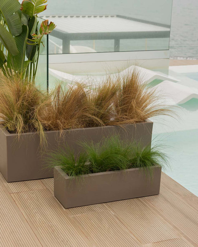 Elegancka doniczka, która ożywi przestrzeń 4