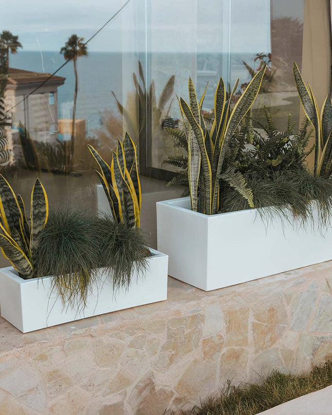 Elegancka doniczka, która ożywi przestrzeń 5