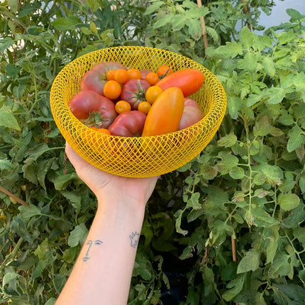 ElegantMesh | Dwuścienny stalowy kosz na owoce zapewniający wentylację i styl 2