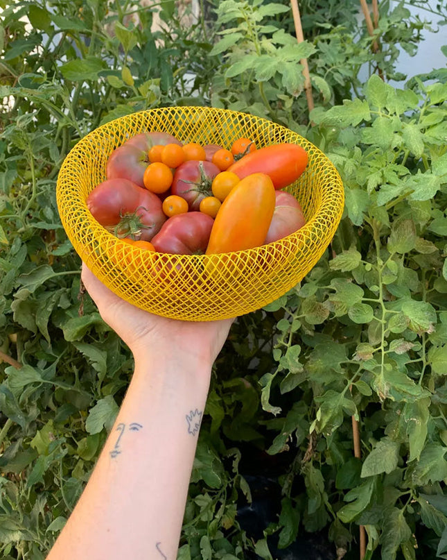 ElegantMesh | Dwuścienny stalowy kosz na owoce zapewniający wentylację i styl 2