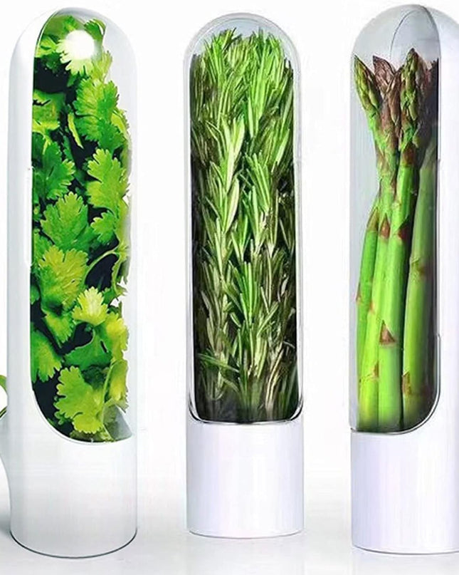 HerbGuard – Oszczędzający miejsce ochraniacz ziół – Długotrwała świeżość ziół 2