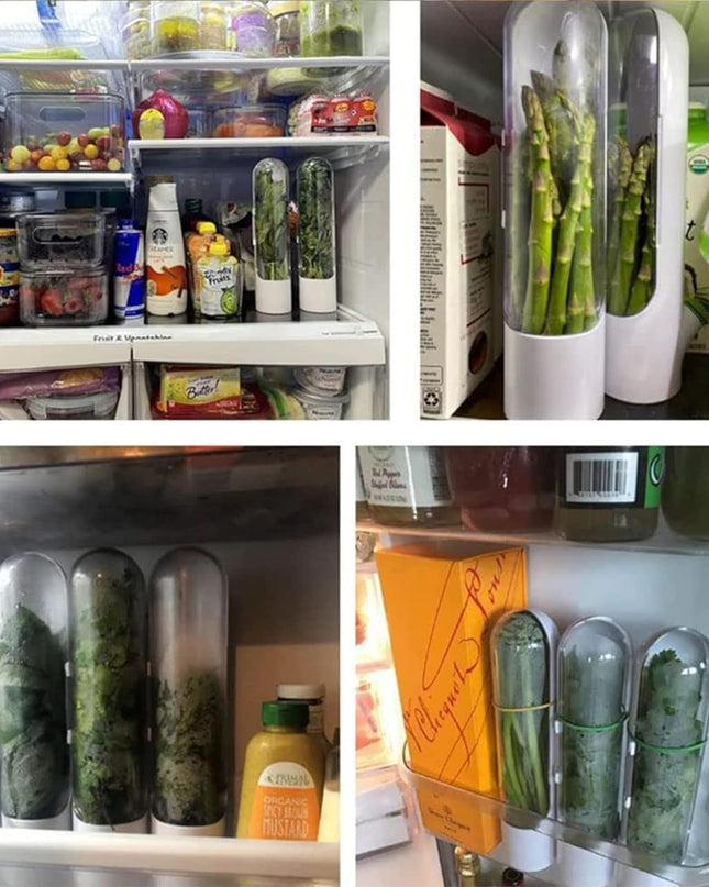 HerbGuard – Oszczędzający miejsce ochraniacz ziół – Długotrwała świeżość ziół 3