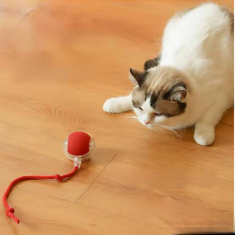 Interaktywna zabawka dla kota z automatycznym ruchem – nowoczesny gadżet stymulujący dla Twojego pupila – idealna na stylowy odpoczynek właściciela podczas radosnej zabawy zwierzaka