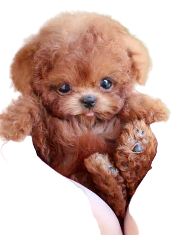 Interaktywny Pluszowy Piesek Wzór Realistyczny z Funkcjami Ruchu 0