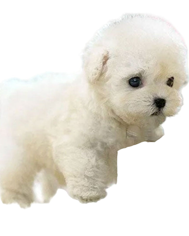 Interaktywny Pluszowy Piesek Wzór Realistyczny z Funkcjami Ruchu 4