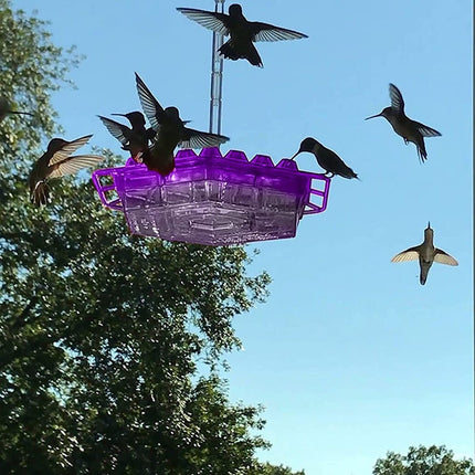 Karmnik dla kolibrów 12 uncji z sześciokątną geometrią i anty-mrówkową konstrukc 0