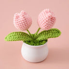 Pink A
