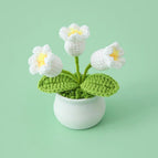 White A