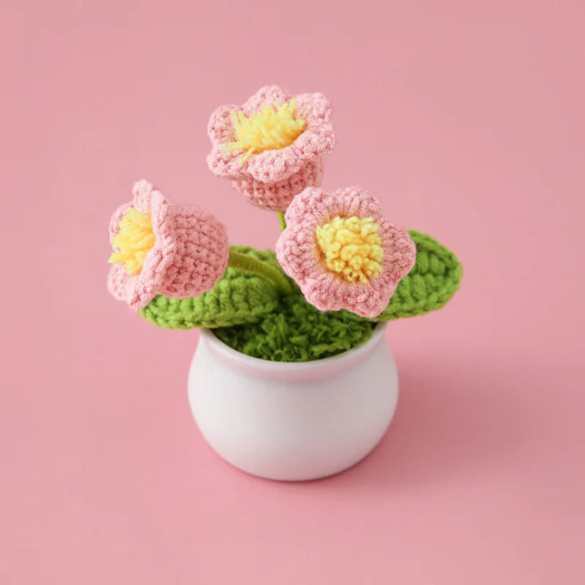 Kwiatowy przyjaciel na każdą okazję 8