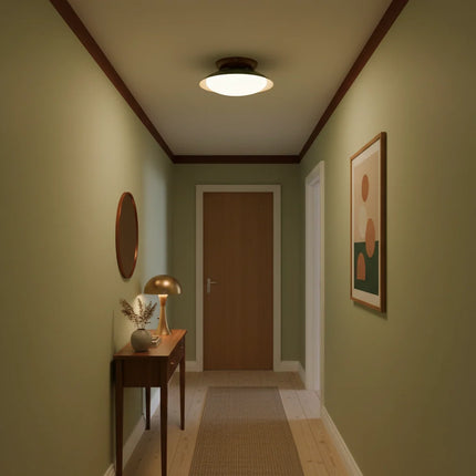 Lampa sufitowa LED retro w brązowo-zielonym kolorze z odporną na wilgoć kopułą, śred 8