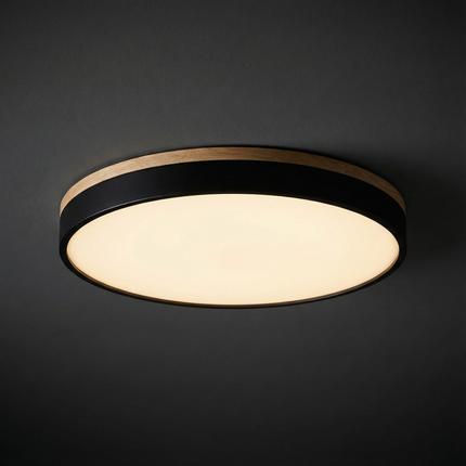 Lampa sufitowa LED z bezstopniowym ściemnianiem i pilotem – nowoczesna, okrągła lampa sufitowa do salonów 0