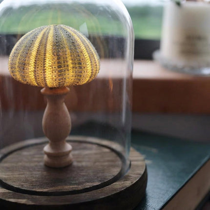 Lampka nocna LED z przezroczystą szklaną kopułą i drewnianą podstawą, idealna do syp 3
