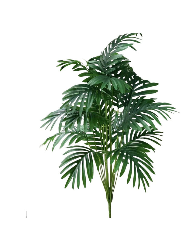 Luksusowa Roślina z Tropikalnym Akcentem 7