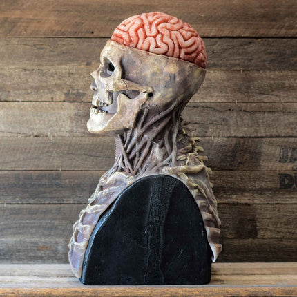 Maska Halloween z ruchomą szczęką, pełna maska szkieletowa z lateksu dla dorosłych, idealna 2