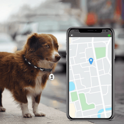 Pet GPS Tracker with Real-Time Location and Sound Alert – Waterproof Design for Dogs and Cats 3