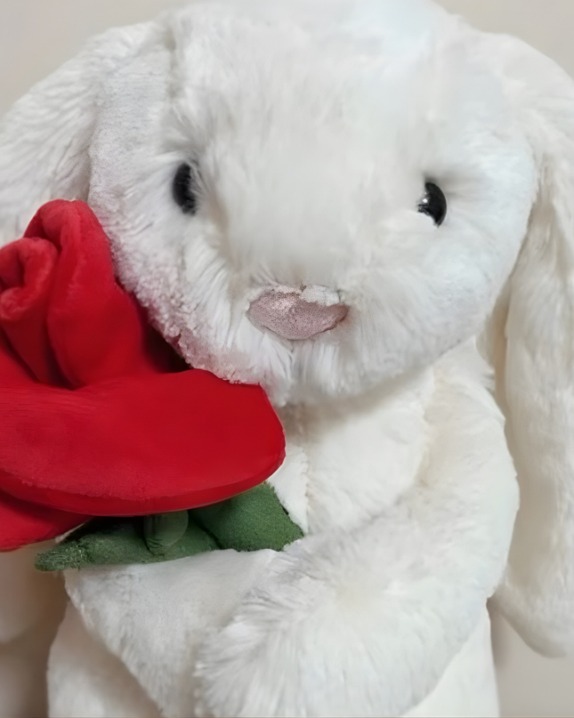 Pluszowa zabawka „Króliczek Kotek” z okazji ukończenia szkoły – miękka, pluszowa pamiątka – bezpieczna dla dzieci w wieku 6+ – 25 cm 0