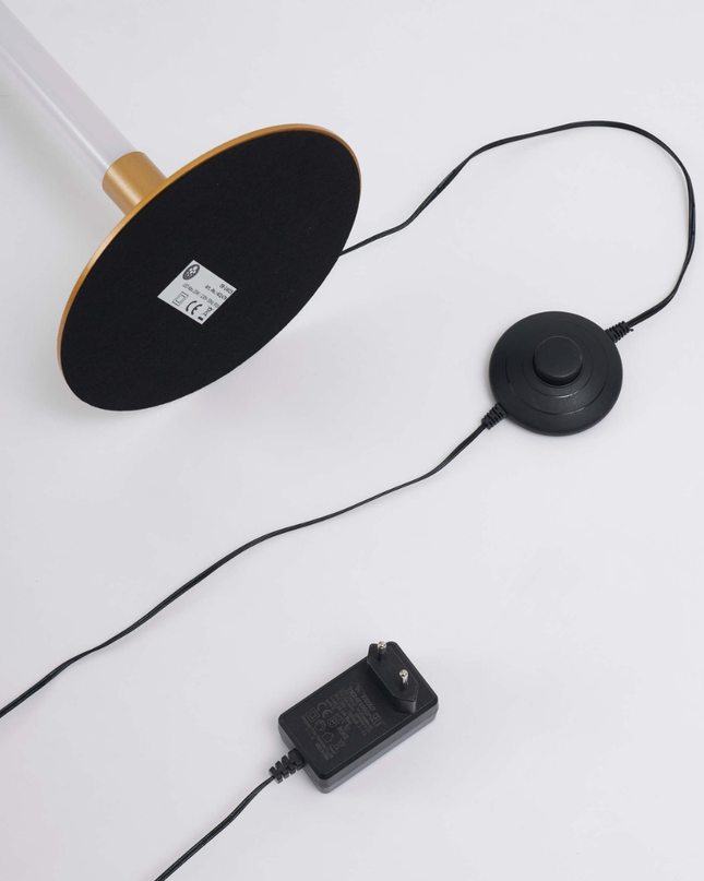 Ściemnialna lampa podłogowa LED z pilotem – elegancki, nowoczesny design do salonu 6