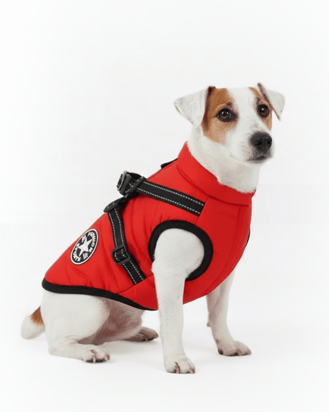 Waterproof Dog Coat with Integrated Reflective Harness and Fleece Lining – 2-in-1 Design for Cold and Rainy Weather 1